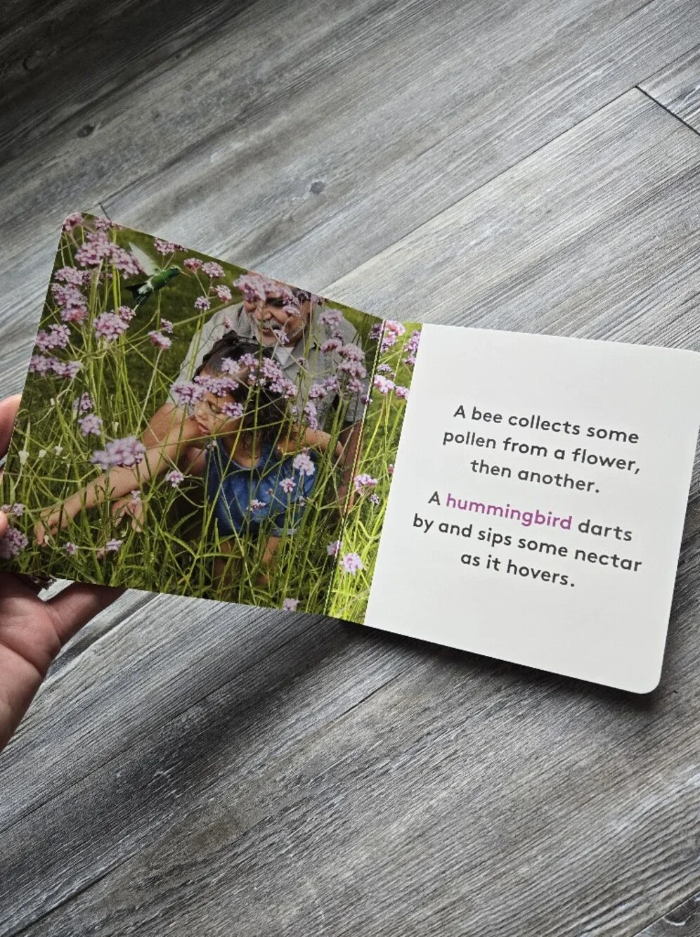 My Favorite Nature Buddy Board Book Lovevery
